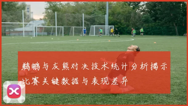鹈鹕与灰熊对决技术统计分析揭示比赛关键数据与表现差异