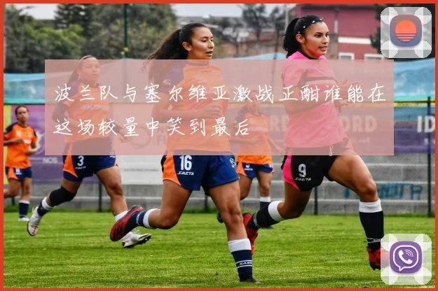 波兰队与塞尔维亚激战正酣谁能在这场较量中笑到最后