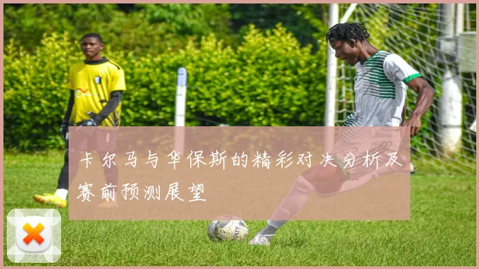 西布朗主场迎战莱斯特城双方争夺英超关键三分之战